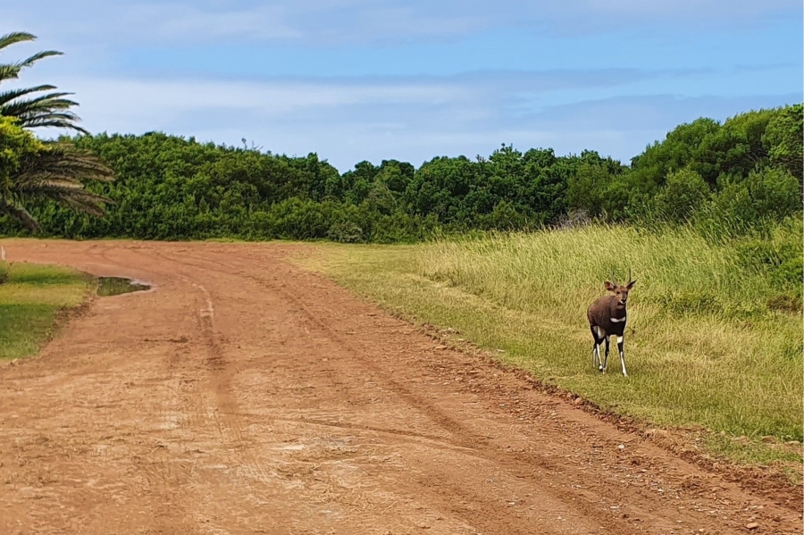 0 Bedroom Property for Sale in Paradise Beach Eastern Cape